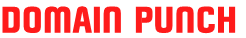 DomainPunch Logo